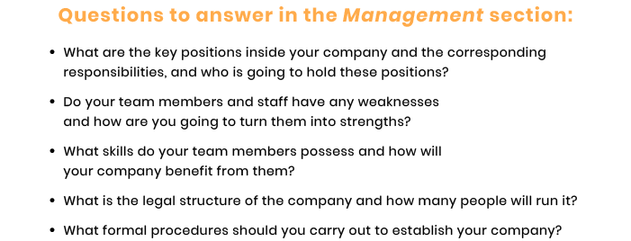 management section questions for tech startup business plan