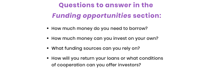 funding questions in tech startup business plan